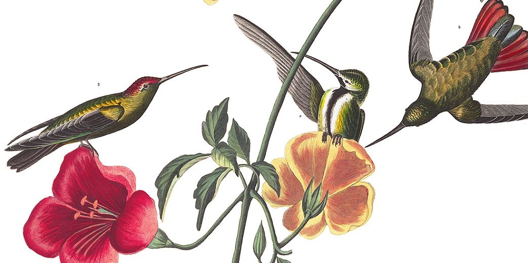 'Apollo Builds Troy with His Lyre' by James Sale Society of Classical