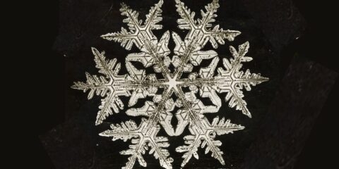 poem/corey/winter/snowflake